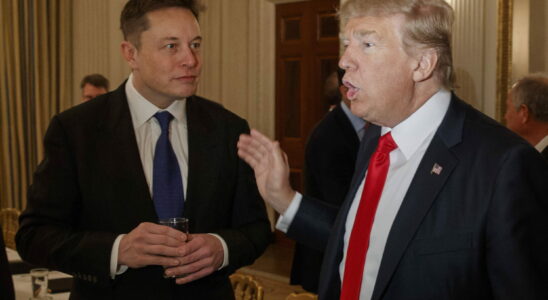 Elon Musk in place in a future Trump government An