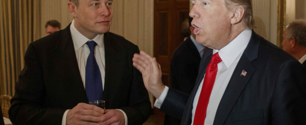 Elon Musk in place in a future Trump government An