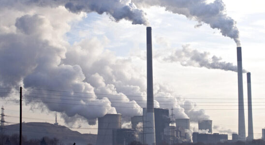 Environment study reveals low effectiveness of vast majority of climate