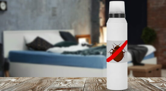 Fearlessly effective this remedy kills bedbugs in 2 days according