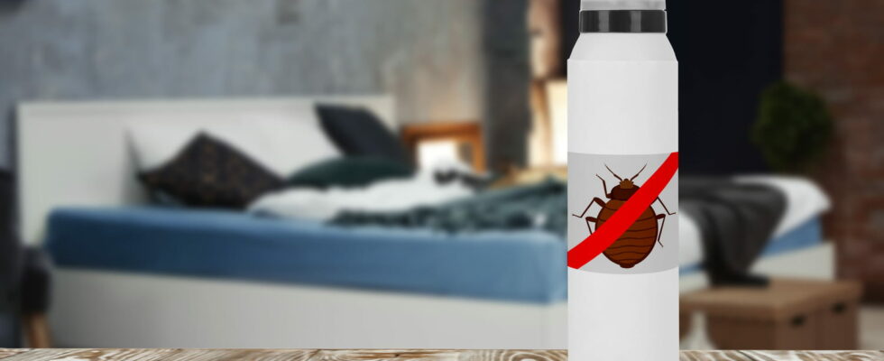 Fearlessly effective this remedy kills bedbugs in 2 days according