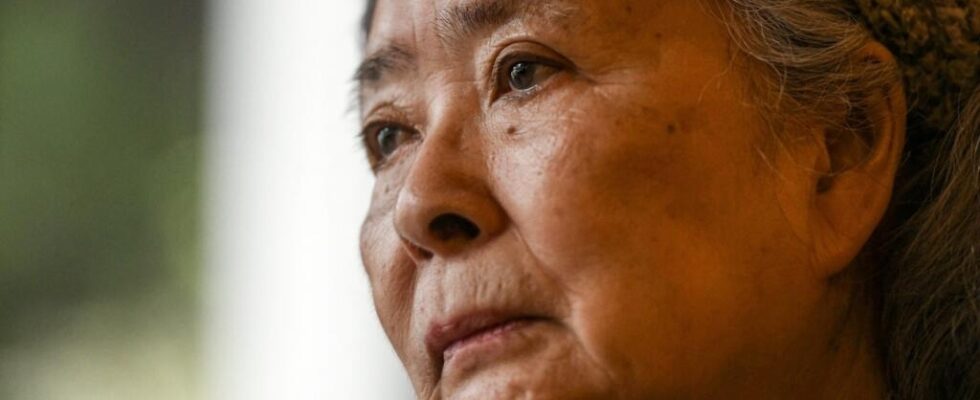 France Justice dismisses Tran To Nga victim of Agent Orange