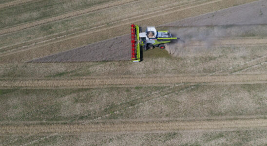 France The current wheat harvest is the lowest since 1983