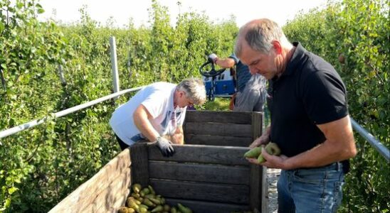 Fruit grower Wim continues to welcome migrant workers with open