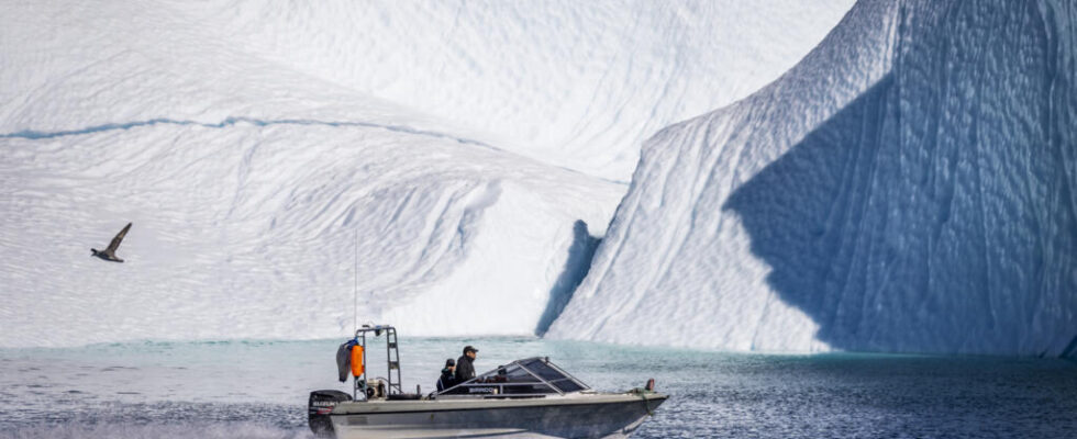 Greenland a brake on cruises