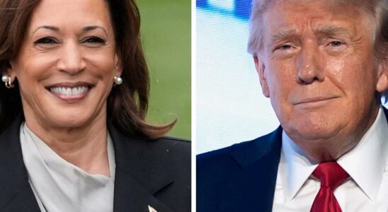 Harris on Trumps attacks America deserves better