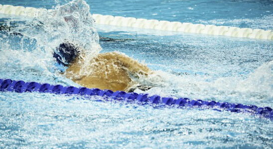 Hector Denayer who is the para swimming champion