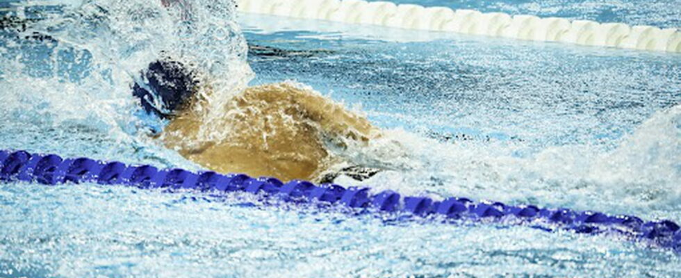 Hector Denayer who is the para swimming champion