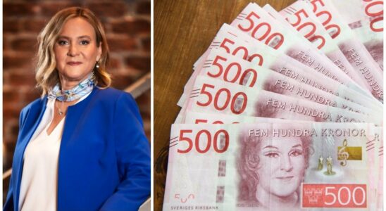 Hellen Wohlin Lidgards huge salary and fortune