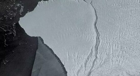 Iceberg that refuses to die moves after 30 years It