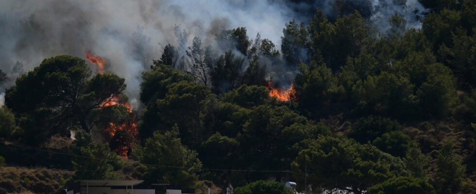 In Greece a devastating fire is getting dangerously close to