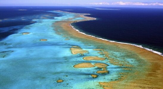 In the Pacific the fight against rising waters requires better