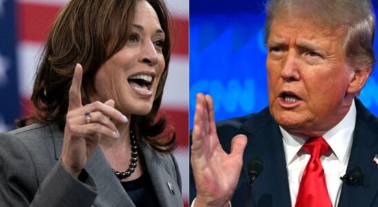 Kamala Harris or Donald Trump The seven key states that