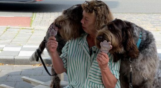 Liver sausage ice cream is a hit in Amersfoort a