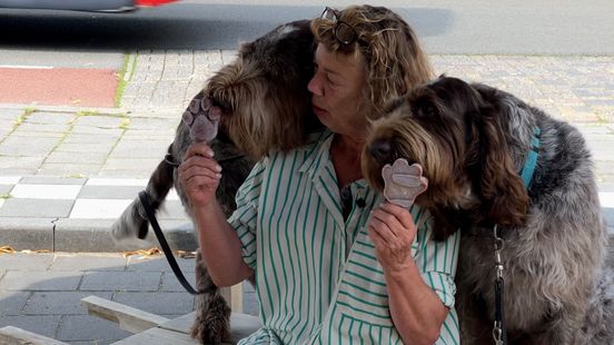 Liver sausage ice cream is a hit in Amersfoort a