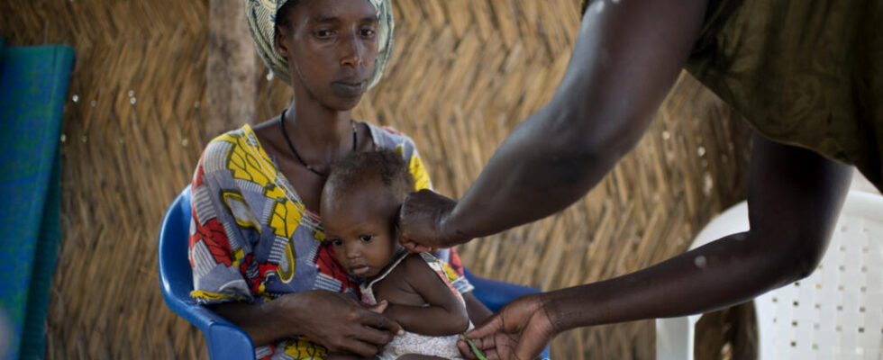 Mali Child malnutrition at its highest in 10 years warns