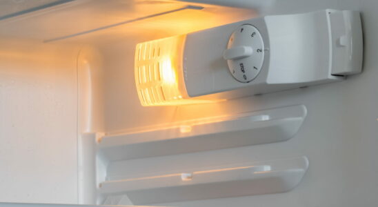 Many people get the refrigerator temperature wrong for summer this