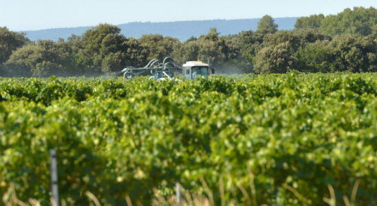 More than 100 new pesticides authorized in France the list