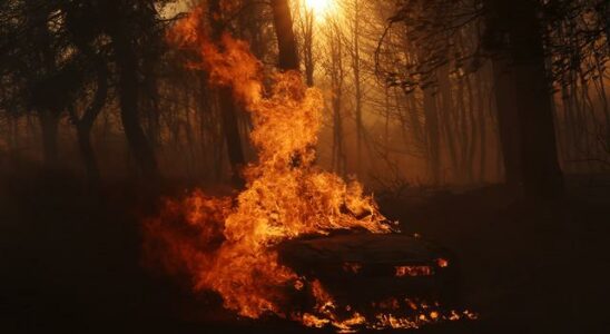 Neighbors are in terror Fire in Greece villages evacuated