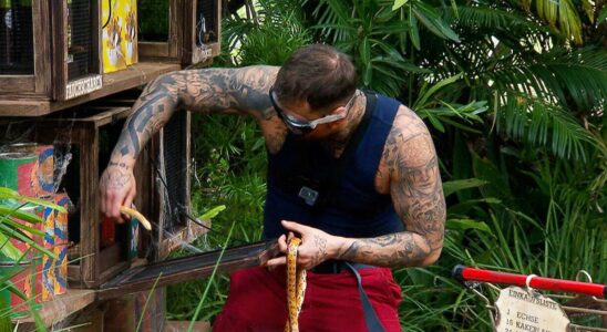 New jungle camp test causes severe criticism from audience