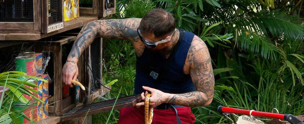 New jungle camp test causes severe criticism from audience