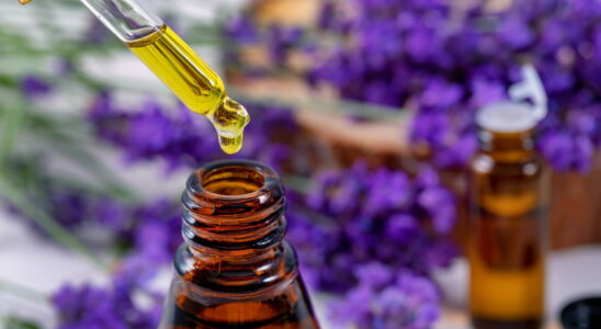 Painkillers par excellence these 3 essential oils are the best