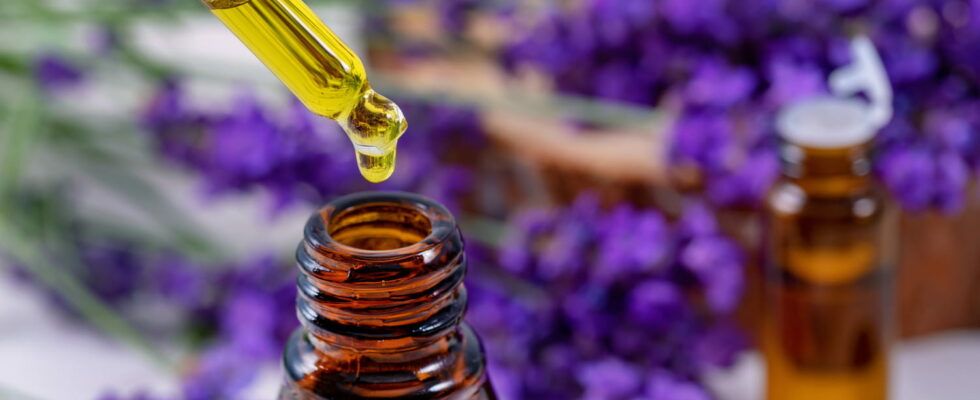 Painkillers par excellence these 3 essential oils are the best