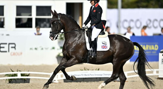 Para equestrian at the 2024 Paralympic Games rules classification of