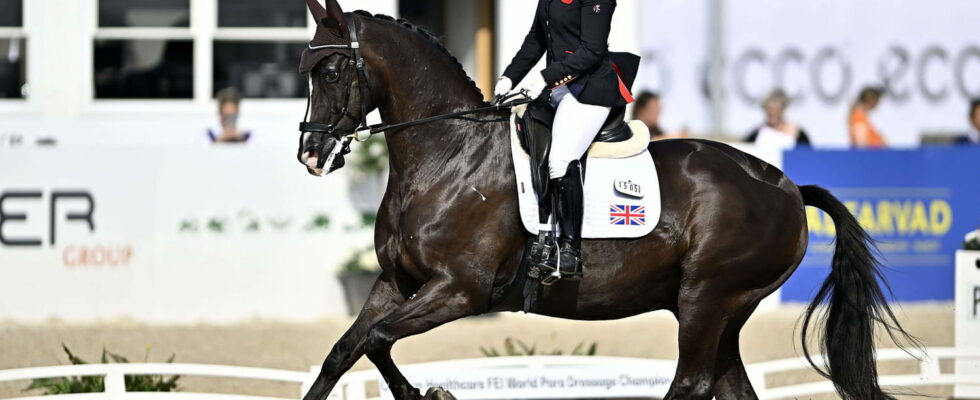 Para equestrian at the 2024 Paralympic Games rules classification of