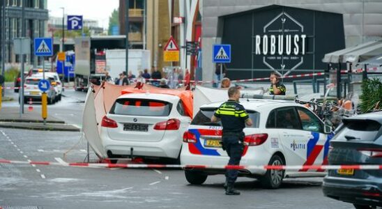 Pedestrian in Nieuwegein dies after car runs over her again