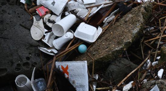 Plastic pollution the United States towards a more ambitious position