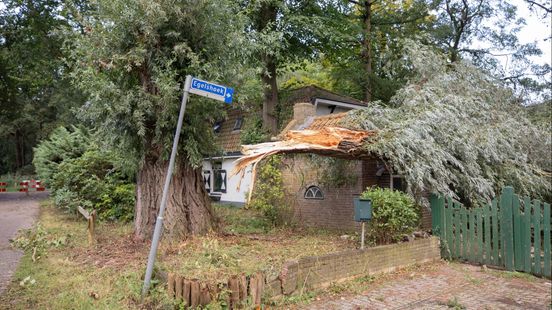 Saturdays storm was a downdraft forest still closed