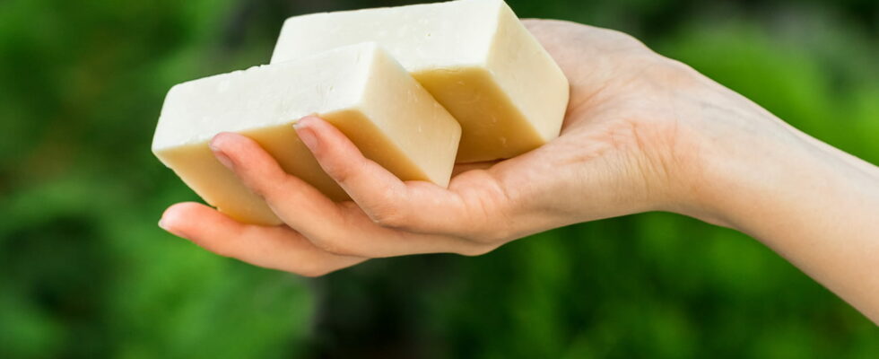 Some people put solid soap in their garden They are