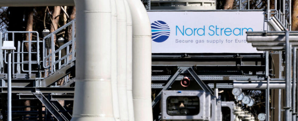 Special broadcast on Nord Stream