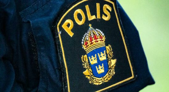 Student threatened with a gun four arrested in Varberg