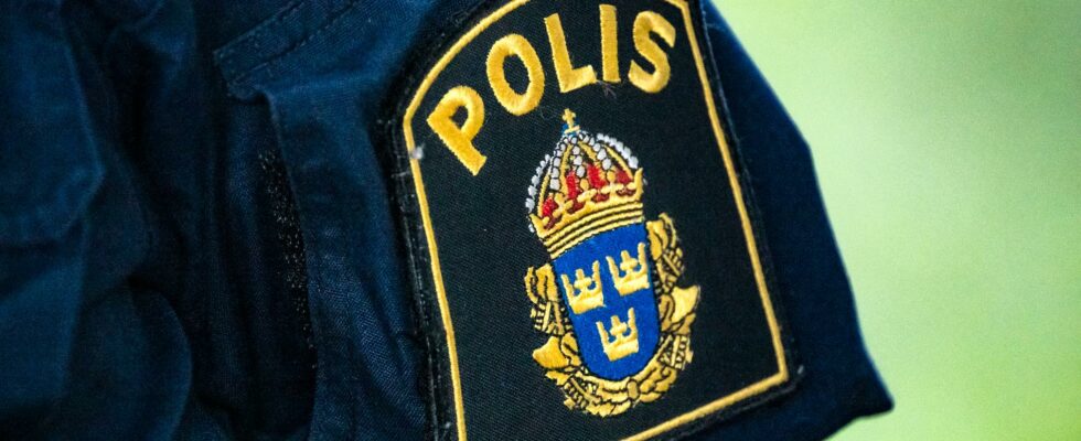 Student threatened with a gun four arrested in Varberg