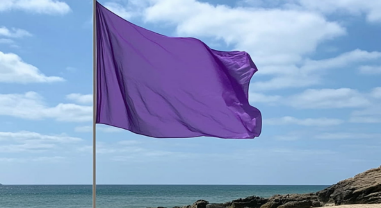 Swimming is strongly discouraged if this flag is flying at