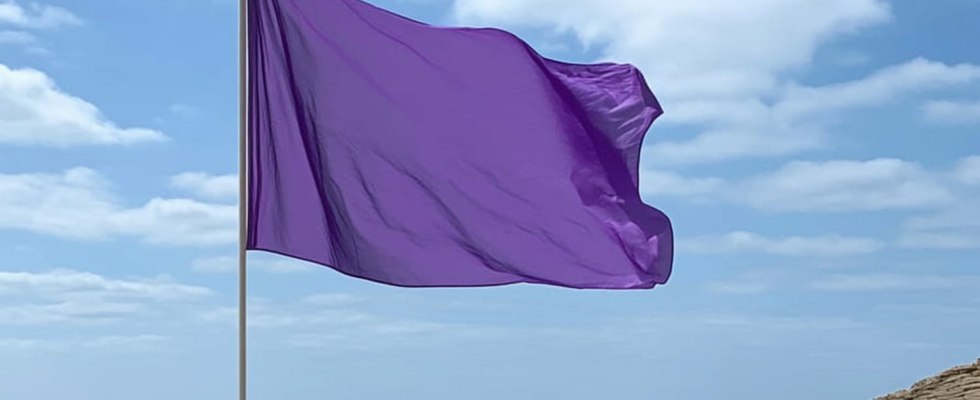 Swimming is strongly discouraged if this flag is flying at