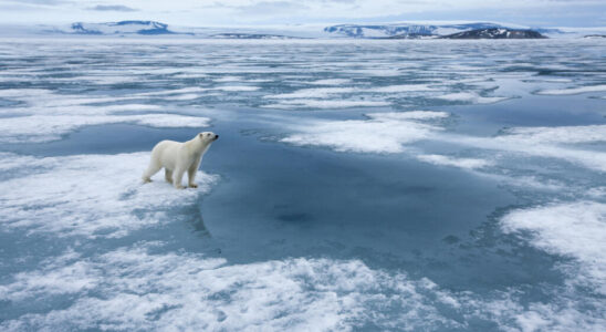 The Arctic at the heart of Russia Europe tension