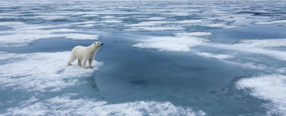 The Arctic at the heart of Russia Europe tension