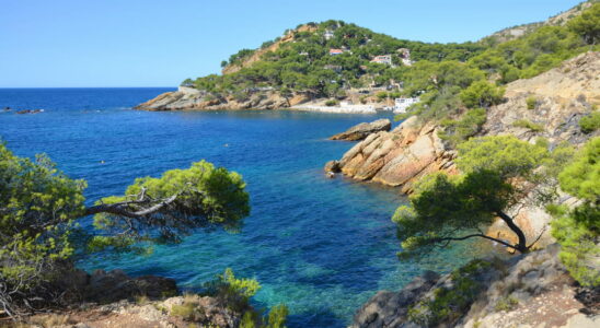 The Cote Bleue Marine Reserve in Carry le Rouet Bouches du Rhone