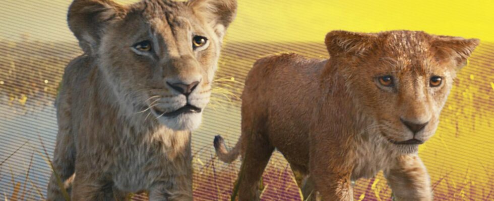 The Lion King 2 trailer reopens old wounds – with