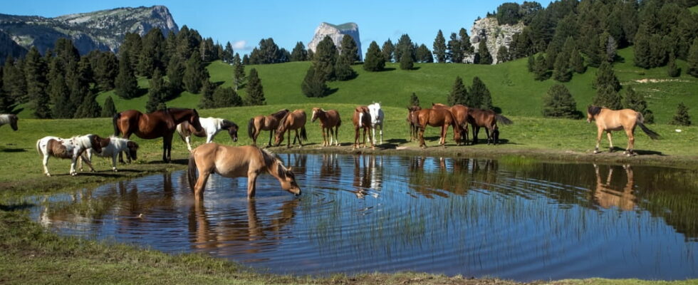 The Vercors Regional Natural Park