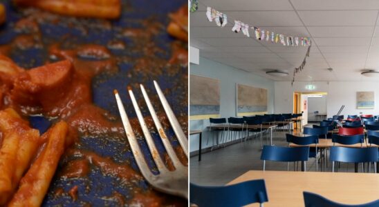 The new food rules in Swedish schools the same