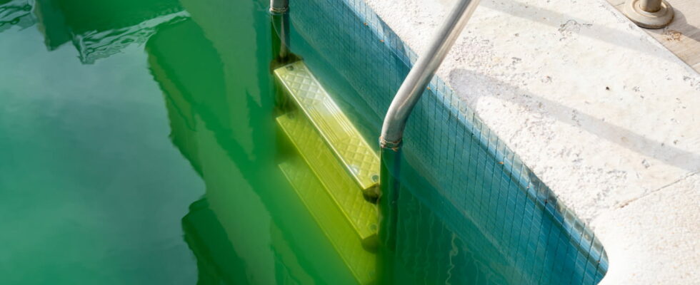 The pool water will never be green with this method