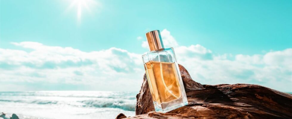 This perfume with sunny notes is creating a buzz on