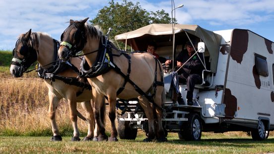 Toon and Carina travel with horses and caravan You shouldnt