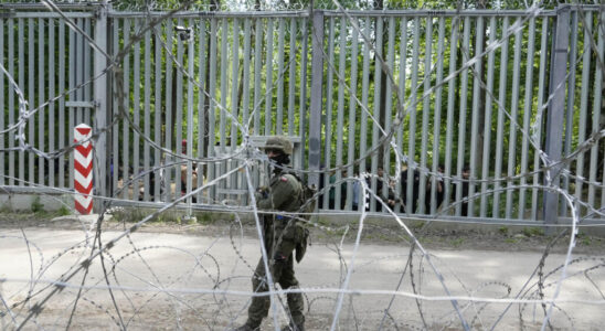 Tourists shun Bialowieza on the border between Poland and Belarus