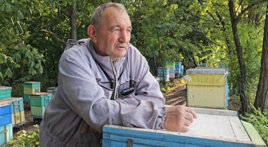 Ukraine In Myrnohrad a beekeeper braves bombs to save his