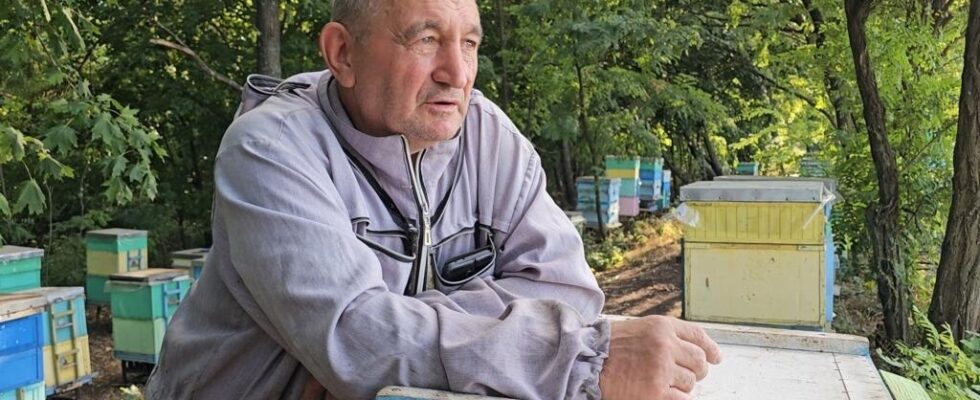 Ukraine In Myrnohrad a beekeeper braves bombs to save his